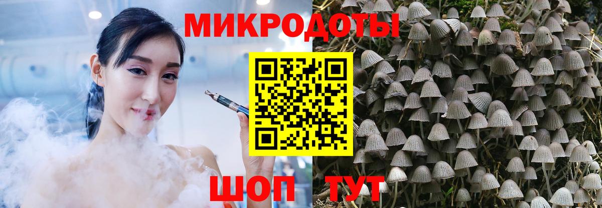 Зерноград  Галлюциногенные грибы GOLDEN TEACHER  где найти наркотики  Вход с VPN 